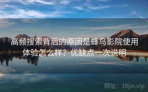 高频搜索背后的原因是蜂鸟影院使用体验怎么样？优缺点一次说明