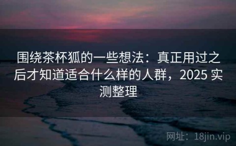 围绕茶杯狐的一些想法：真正用过之后才知道适合什么样的人群，2025 实测整理