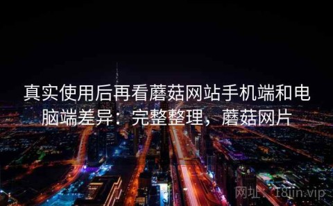 真实使用后再看蘑菇网站手机端和电脑端差异：完整整理，蘑菇网片