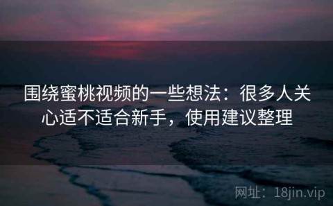 围绕蜜桃视频的一些想法：很多人关心适不适合新手，使用建议整理