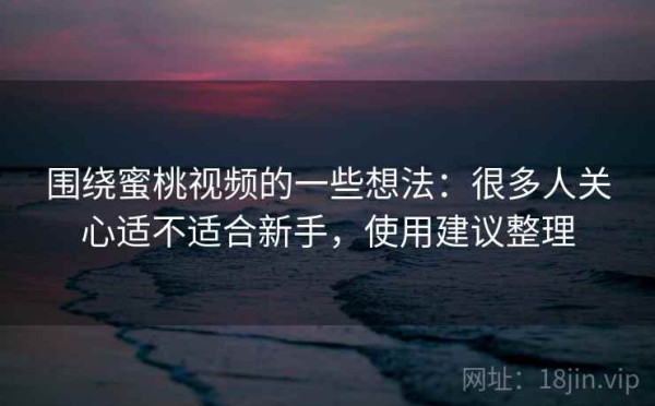 围绕蜜桃视频的一些想法：很多人关心适不适合新手，使用建议整理