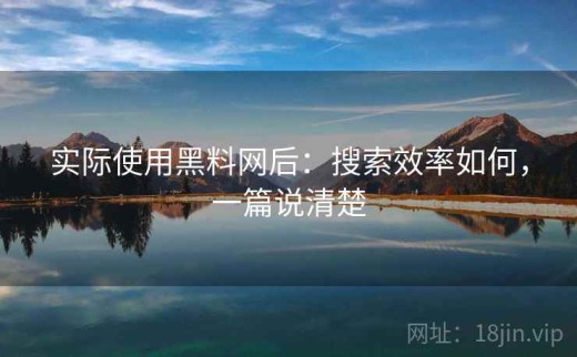 实际使用黑料网后：搜索效率如何，一篇说清楚