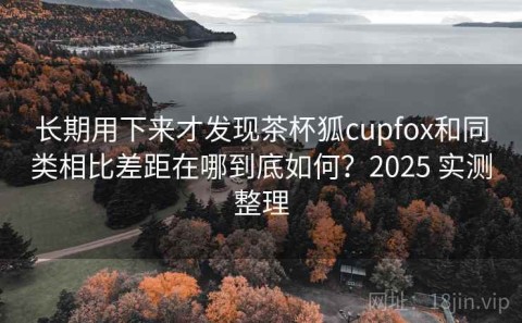 长期用下来才发现茶杯狐cupfox和同类相比差距在哪到底如何？2025 实测整理
