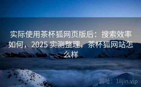 实际使用茶杯狐网页版后：搜索效率如何，2025 实测整理，茶杯狐网站怎么样