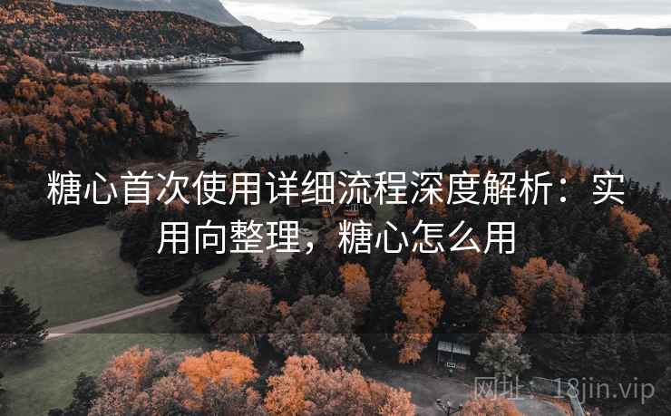 糖心首次使用详细流程深度解析：实用向整理，糖心怎么用
