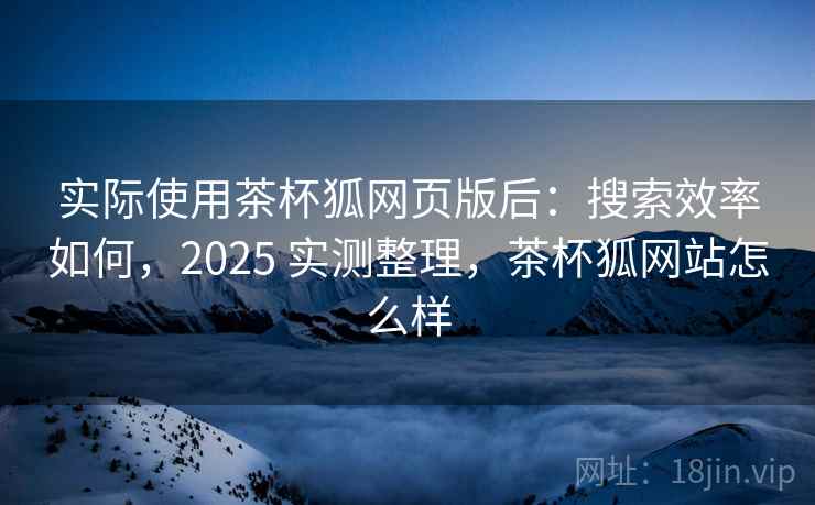 实际使用茶杯狐网页版后：搜索效率如何，2025 实测整理，茶杯狐网站怎么样