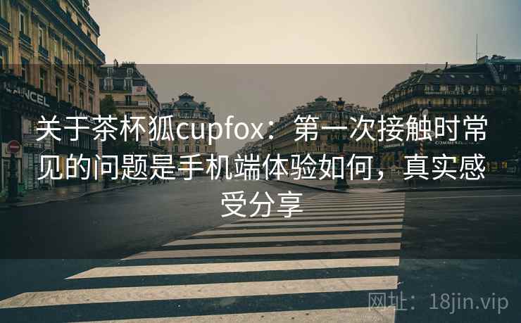 关于茶杯狐cupfox：第一次接触时常见的问题是手机端体验如何，真实感受分享