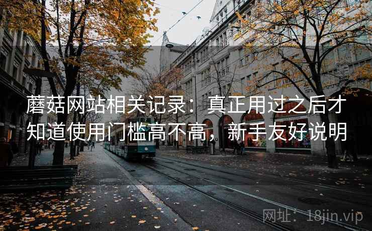 蘑菇网站相关记录：真正用过之后才知道使用门槛高不高，新手友好说明