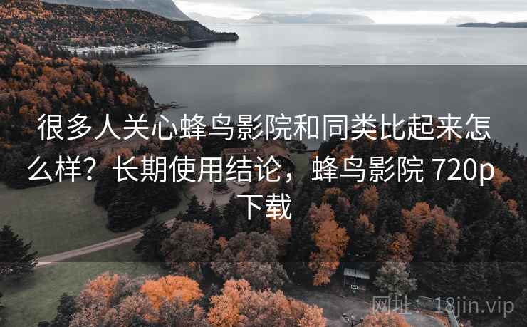 很多人关心蜂鸟影院和同类比起来怎么样？长期使用结论，蜂鸟影院 720p 下载