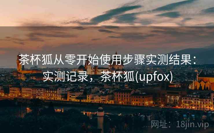 茶杯狐从零开始使用步骤实测结果：实测记录，茶杯狐(upfox)