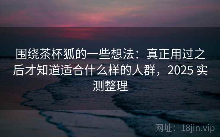 围绕茶杯狐的一些想法：真正用过之后才知道适合什么样的人群，2025 实测整理