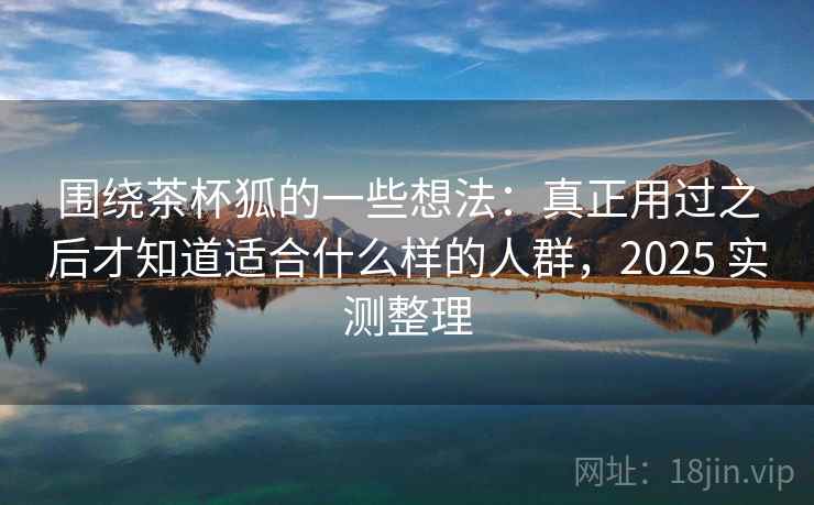 围绕茶杯狐的一些想法：真正用过之后才知道适合什么样的人群，2025 实测整理