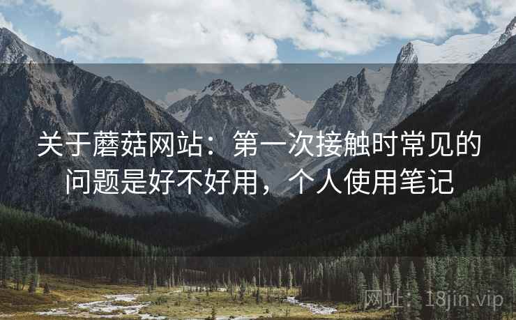 关于蘑菇网站：第一次接触时常见的问题是好不好用，个人使用笔记